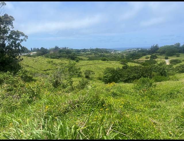 20,113M² FARM FOR SALE IN BALLITO CENTRAL
